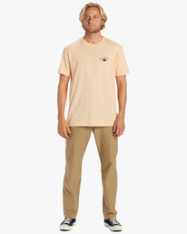 1 Kamea Lava Arch - T-shirt pour Homme Rose ABYZT01917 Billabong