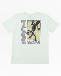 6 Cosmic Echoes - T-Shirt for Men White ABYZT01975 Billabong