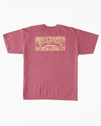 5 Arch Wave - T-Shirt for Men Pink ABYZT01992 Billabong