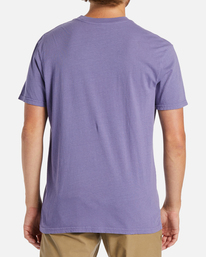 billabong, Trippin Short Sleeve T-Shirt, PURPLE HAZE (phz) TRIPPIN SS ABYZT02022