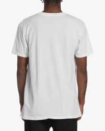 billabong, Rotor Diamond Short Sleeve T-Shirt, OFF WHITE (ofw) ROTOR DIAMOND SS ABYZT02023
