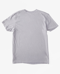 5 Walled Short Sleeve T-Shirt Grey ABYZT02025 Billabong