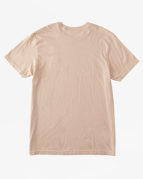 5 Exit Arch Short Sleeve T-Shirt Pink ABYZT02026 Billabong
