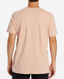 billabong, Exit Arch Short Sleeve T-Shirt, DUSTY PINK (dtp) EXIT ARCH SS ABYZT02026