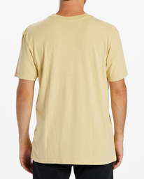 billabong, Goods Short Sleeve T-Shirt, STRAW (sta) GOODS SS ABYZT02029