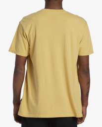 billabong, Connection Short Sleeve T-Shirt, STRAW (sta) CONNECTION SS ABYZT02047