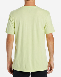 billabong, Radiation Short Sleeve T-Shirt, LIGHT GREEN (gcq0) RADIATION SS ABYZT02048