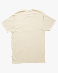 4 Essential Wave Washed Short Sleeve T-Shirt Brown ABYZT02243 Billabong