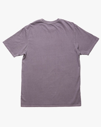 4 Essential Wave Washed Short Sleeve T-Shirt Purple ABYZT02243 Billabong