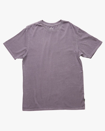 3 Essential Wave Washed Short Sleeve T-Shirt Purple ABYZT02243 Billabong