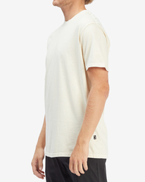 1 Essential Wave Washed Short Sleeve T-Shirt Brown ABYZT02243 Billabong