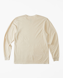 6 Essential Wave Washed Long Sleeve T-Shirt Brown ABYZT02244 Billabong