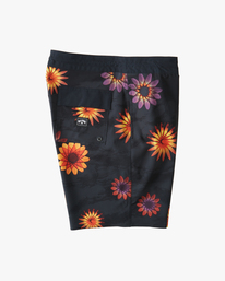 6 Sundays 17" - Boardshort pour Homme Bleu C1BS51BIP2 Billabong