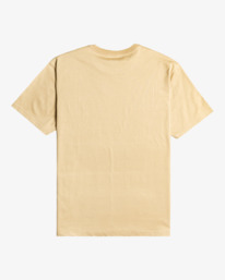 5 Pacifico - T-shirt manches courtes pour Homme Blanc C1SS04BIP2 Billabong