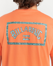 4 ADIV  Arch - Camiseta de manga corta para Hombre Gris C1SS46BIP2 Billabong