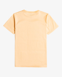 1 Retro Box - T-shirt manches courtes pour Garçon 8-16 ans Rose C2SS27BIP2 Billabong