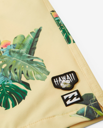 6 Kamea Jungle Layback 17" - Boardshort pour Homme Jaune D1LB11BIS2 Billabong