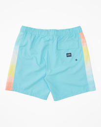 1 D Bah Layback 17" 2022 - Boardshorts für Männer  D1LB12BIS2 Billabong