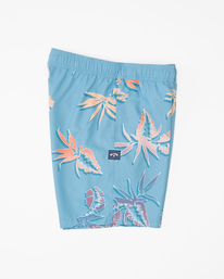 2 Layback 17" - Boardshorts für Männer Blau D1LB13BIS2 Billabong