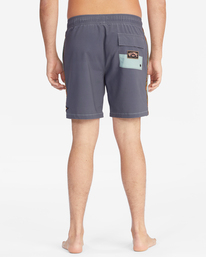 2 All Day Pigment Layback 17" - Boardshort pour Homme Vert D1LB14BIMU Billabong