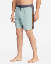 3 All Day Pigment Layback 17" - Boardshort pour Homme Vert D1LB14BIMU Billabong