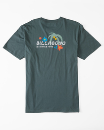 1 T-shirt graphique pour Hommes Vert D1SS15BIS2 Billabong