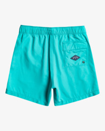 1 All Day Heritage Layback - Boardshort pour Garçon 8-16 ans Vert EBBJV00103 Billabong