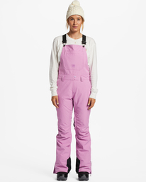 2 A/Div Riva 10K Insulated Bib Snow Pants Purple EBJTP00111 Billabong