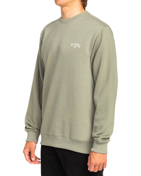 2 Arch - Felpa da Uomo Green EBYFT00104 Billabong