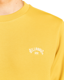 3 Arch - Sweatshirt für Männer Gelb EBYFT00104 Billabong