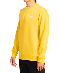 2 Arch - Sweatshirt für Männer Gelb EBYFT00104 Billabong