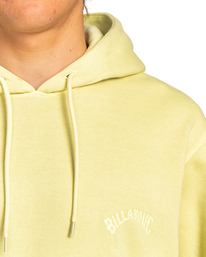 3 Wave Washed - Sudadera con Capucha para Hombre Verde EBYFT00111 Billabong