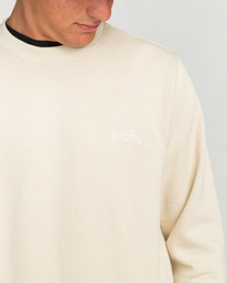 4 Arch - Sweatshirt for Men Beige EBYFT00113 Billabong