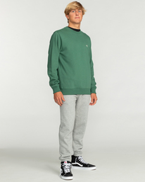 1 Arch - Sweat pour Homme Vert EBYFT00113 Billabong