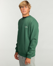 3 Arch - Sweat pour Homme Vert EBYFT00113 Billabong