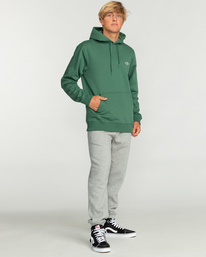 1 Arch - Sweat pour Homme Vert EBYFT00114 Billabong