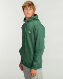 3 Arch - Sweat pour Homme Vert EBYFT00114 Billabong