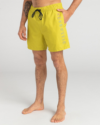 2 All Day Heritage Layback - Boardshorts para Hombre Azul EBYJV00105 Billabong