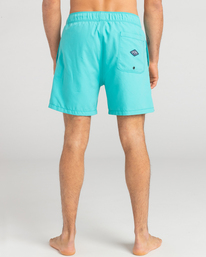 1 All Day Heritage Layback - Boardshorts para Hombre Verde EBYJV00105 Billabong