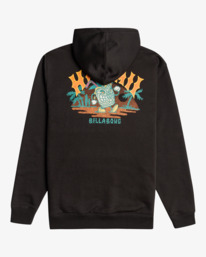 4 Arch Dreamy Place - Sweat à capuche pour Homme Noir EBYSF00128 Billabong