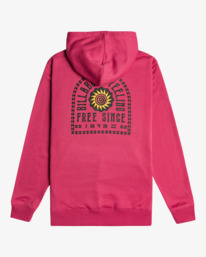 4 Portal - Hoodie for Men Pink EBYSF00135 Billabong