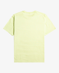 5 Tucked - T-Shirt for Men Green EBYZT00106 Billabong