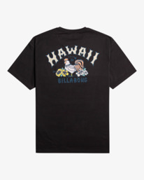 6 Arch Dreamy Place - T-Shirt for Men Black EBYZT00107 Billabong