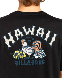 2 Arch Dreamy Place - T-Shirt for Men Black EBYZT00107 Billabong