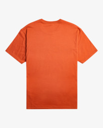 6 Wave - T-Shirt voor Heren Blue EBYZT00132 Billabong