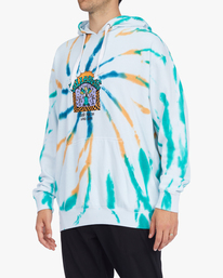 6 Plants Dance - Sudadera con Capucha para Hombre Marron F1FL44BIF2 Billabong