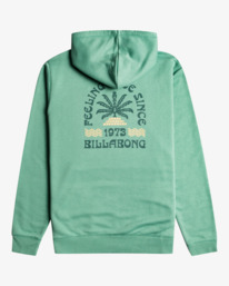 5 Feeling Free - Hoodie voor Heren Green F1HO15BIF2 Billabong