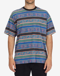 2 Sons Of Fun - T- Shirt für Männer Braun F1JE03BIF2 Billabong