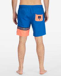 3 Sons Of Fun Layback 17.5" - Boardshort voor Heren Blue F1LB01BIF2 Billabong