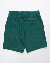 9 Sundays Layback 19" - Boardshort voor Heren Green F1LB02BIF2 Billabong